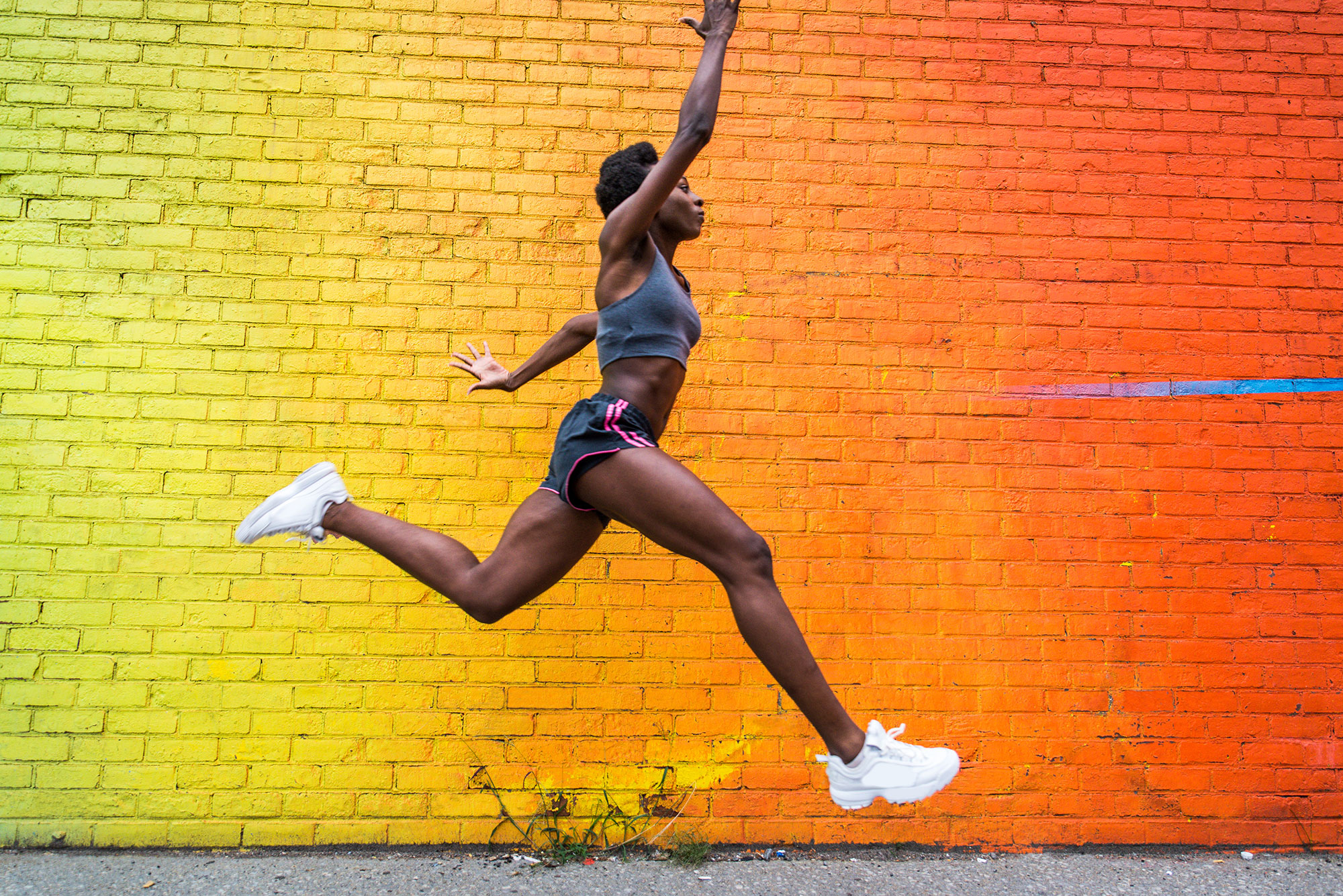 Maecenas eget porttitor ipsum